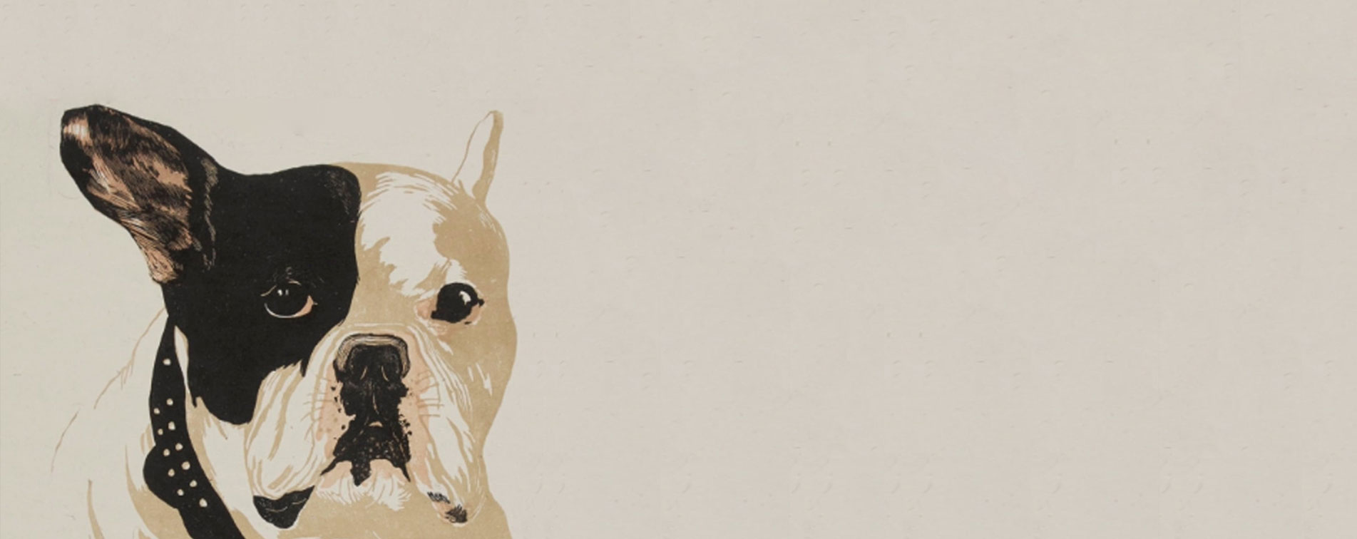 Экскурсионный сеанс по выставке «Жизнь замечательных собак»